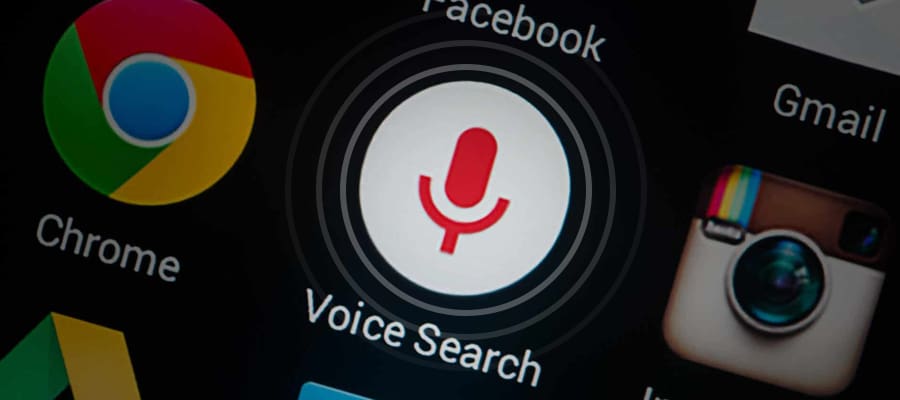 An icon of a microphone representing voice search.